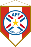 巴拉圭杯